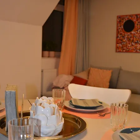 Msf Beiger Wolf * 卡塞尔