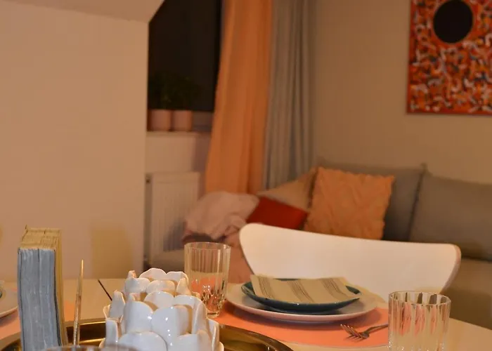 Msf Beiger Wolf * Kassel