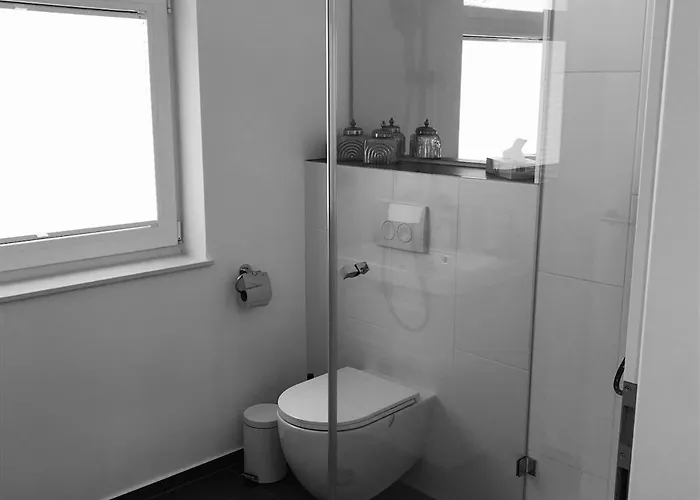 Msf Beiger Wolf Kassel