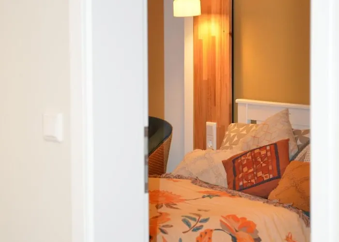 Msf Beiger Wolf * Kassel